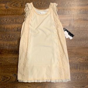 Kensie Dresses Size 8 Cream with Lace Knee Length Dress